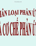 Bài giảng Hóa học - Bài: Phân loại phản ứng và cơ chế phản ứng