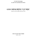 Giáo trình Động vật học - TS. Trần Tố (Chủ biên)