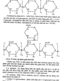 Giáo trình học vi sinh vật học công nghiệp part 5