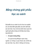 Bằng chứng giải phẫu học so sánh