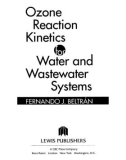 Ozone Reaction Kinetics for Water and Wastewater Systems - Chapter 1