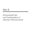 Fate of Pharmaceuticals in the Environment and in Water Treatment Systems - Chapter 5