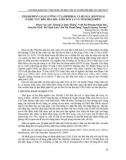 Thành phần loài lưỡng cư (Amphibia) và bò sát (Reptilia) ở khu vực đèo Pha Đin, tỉnh Sơn La và tỉnh Điện Biên