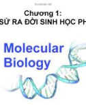 Bài giảng Sinh học phân tử - Chương 1: Lược sử ra đời của sinh học phân tử