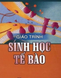 Giáo trình Sinh học tế bào - PGS.TS Nguyễn Nhu Hiền