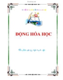 Giáo trình Động hóa học