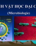 Bài giảng Vi sinh vật học đại cương (Microbiologie): Chương mở đầu - PGS. TS. Nguyễn Bá Hiên