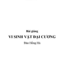 Bài giảng Vi sinh vật đại cương - Đào Hồng Hà