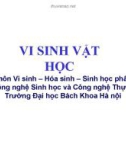 Bài giảng Vi sinh vật học: Chương 1 - Đại cương về vi sinh vật