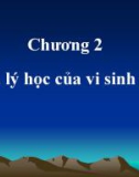 Bài giảng Vi sinh vật học đại cương (Microbiologie): Chương 2 - PGS. TS. Nguyễn Bá Hiên