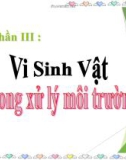 Bài giảng Vi sinh vật trong xử lý môi trường