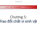 Bài giảng Vi sinh vật: Chương 5 - Phạm Tuấn Anh