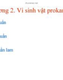 Bài giảng Vi sinh vật học đại cương: Chương 2 - ThS. Trịnh Ngọc Nam