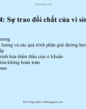 Bài giảng Vi sinh vật học: Bài 4 - Bùi Hồng Quân