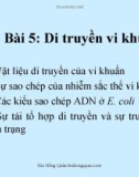 Bài giảng Vi sinh vật học: Bài 5 - Bùi Hồng Quân