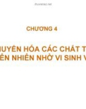 Bài giảng Vi sinh đại cương: Chương 4 - Đào Hồng Hà