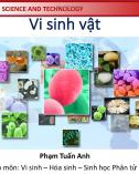 Bài giảng Vi sinh vật: Chương 1 - Phạm Tuấn Anh