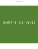 Bài giảng Vi sinh vật: Chương 8 - Phạm Tuấn Anh