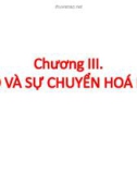 Bài giảng Hóa sinh động vật: Chương 3 - Nguyễn Thị Lệ Quyên