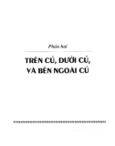 Ngữ pháp chức năng - Dẫn luận: Phần 2