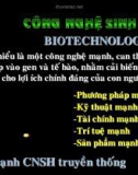 Bài giảng Công nghệ sinh học thực phẩm: Chương 4(1) - ThS. Phạm Hồng Hiếu