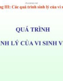 Bài giảng Vi sinh vật thực phẩm - Chương 3: Các quá trình sinh lý của vi sinh vật