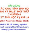 Bài giảng Các quá trình sinh học trong kỹ thuật môi trường - Chương 6: Xử lý sinh học kỵ khí UASB