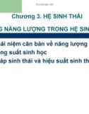 Bài giảng Sinh học đại cương: Chương 3.3 - TS. Nguyễn Thị Kim Dung