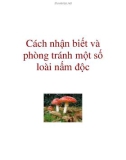 Cách để nhận biết và phòng tránh một số loài nấm độc