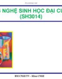 Bài giảng Công nghệ sinh học đại cương: Chương 2 - ThS. Ninh Thị Thảo (Bài 4)