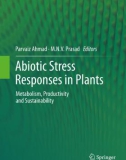 Ebook Abiotic stress responses in plants: Metabolism, productivity and sustainability