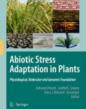 Ebook Abiotic stress adaptation in plants: Physiological, molecular and genomic foundation