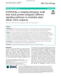 AsHSP26.8a, a creeping bentgrass small heat shock protein integrates different signaling pathways to modulate plant abiotic stress response