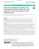 Under fire-simultaneous volatilome and transcriptome analysis unravels fine-scale responses of tansy chemotypes to dual herbivore attack