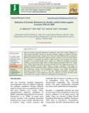 Induction of systemic resistance by bacillus subtilis isolates against Fusarium Wilt of Chilli