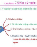 Bài giảng Sinh lý động vật: Chương 4 - Sinh lý tiêu hóa