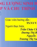 Năng lượng sinh học