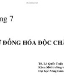 Bài giảng Độc chất học môi trường: Chương 7 - TS. Lê Quốc Tuấn