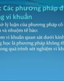 Phương pháp định lượng vi khuẩn