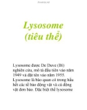 Lysosome (tiêu thể) L