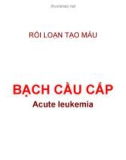 RỐI LOẠN TẠO MÁU BẠCH CẦU CẤP