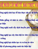 Bài giảng nuôi cấy mô thực vật