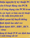 PCR và ứng dụng trong y học