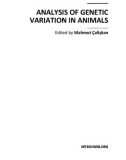 ANALYSIS OF GENETIC VARIATION IN ANIMALS