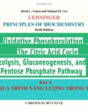 Bài giảng Nguyên lý hoá sinh: Bài 8 - PGS.TS. Bùi Văn Lệ