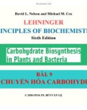 Bài giảng Nguyên lý hoá sinh: Bài 9 - PGS.TS. Bùi Văn Lệ