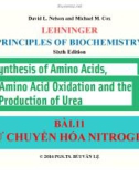 Bài giảng Nguyên lý hoá sinh: Bài 11 - PGS.TS. Bùi Văn Lệ