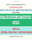 Bài giảng Nguyên lý hoá sinh: Bài 6 - PGS.TS. Bùi Văn Lệ