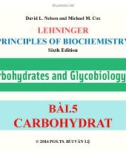 Bài giảng Nguyên lý hoá sinh: Bài 5 - PGS.TS. Bùi Văn Lệ