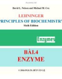 Bài giảng Nguyên lý hoá sinh: Bài 4 - PGS.TS. Bùi Văn Lệ